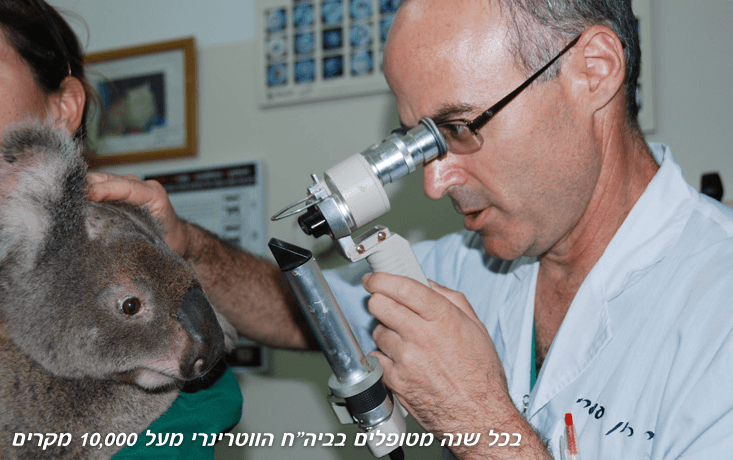 doctor-of-veterinaty-medicine2.jpg