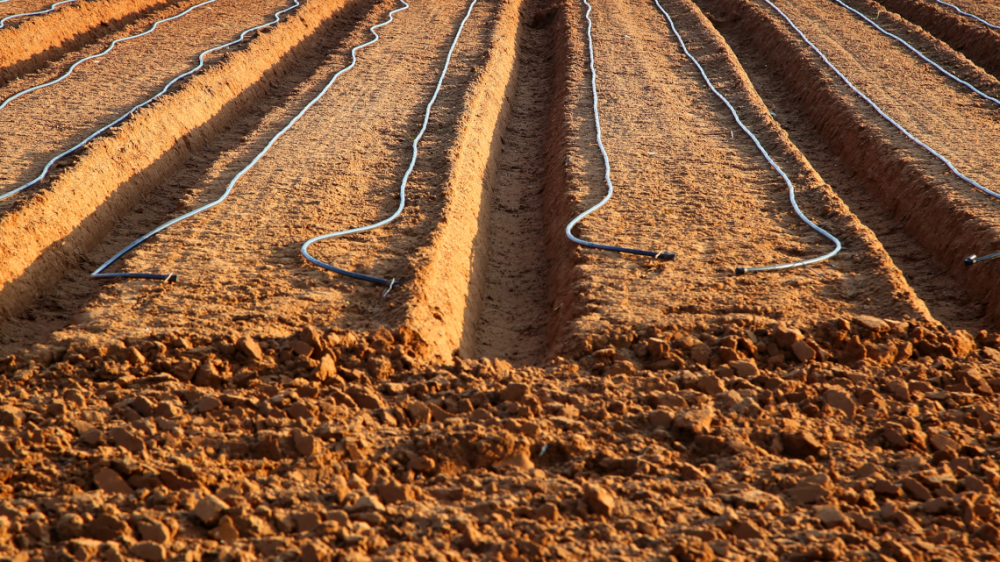 soil-and-water-sciences-icon.png