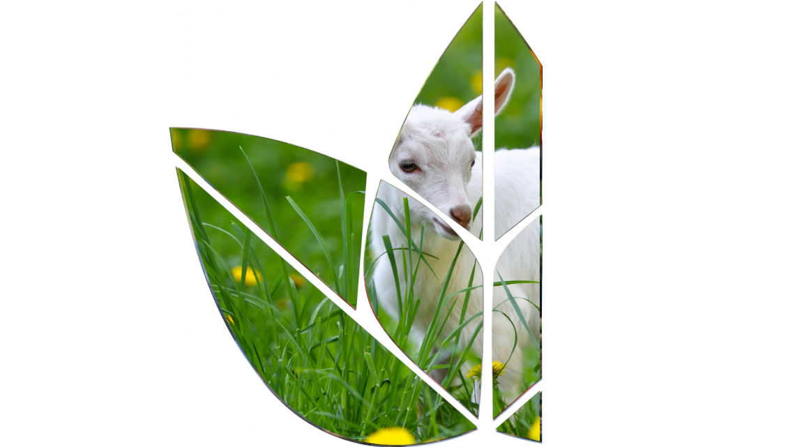 Animal Sciences