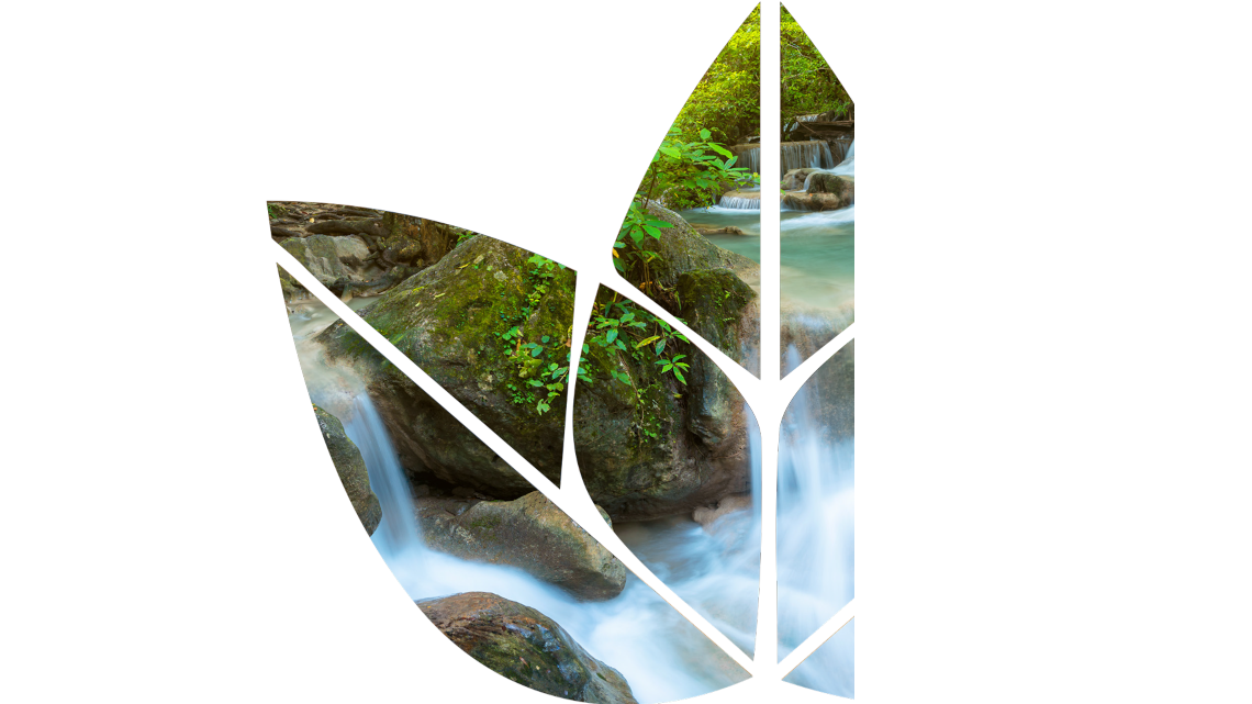 Environmental Quality Sciences