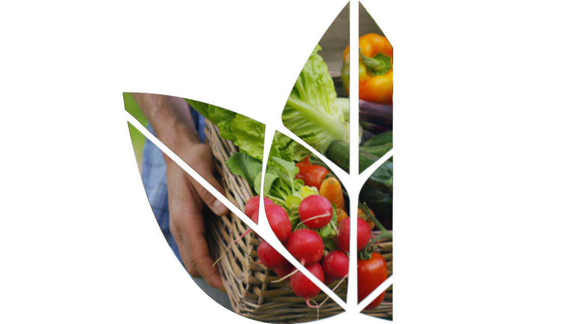 Nutritional Sciences (non-clinical)