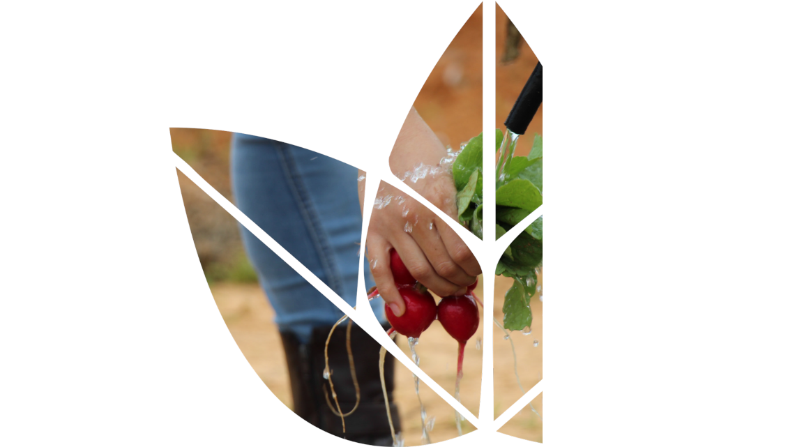 Plant Sciences 