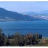 sviva